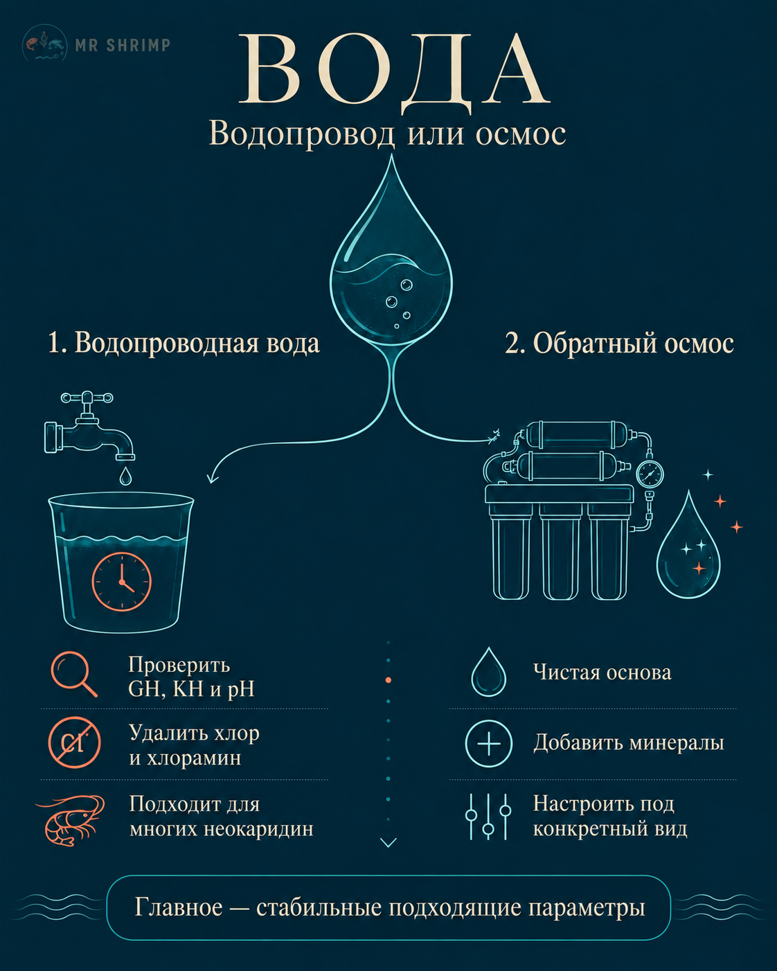 Водопровод или осмос: какую воду выбрать для креветок